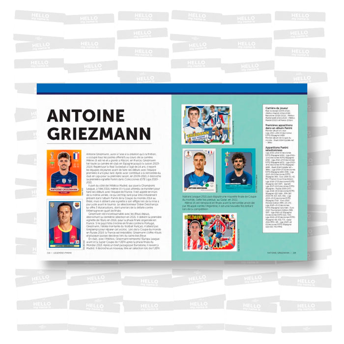 Greg Lansdowne - Légendes Panini: Toutes les vignettes des 85 héros du football mondial