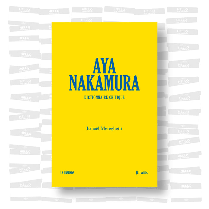 Ismaël Mereghetti - Aya Nakamura, dictionnaire critique