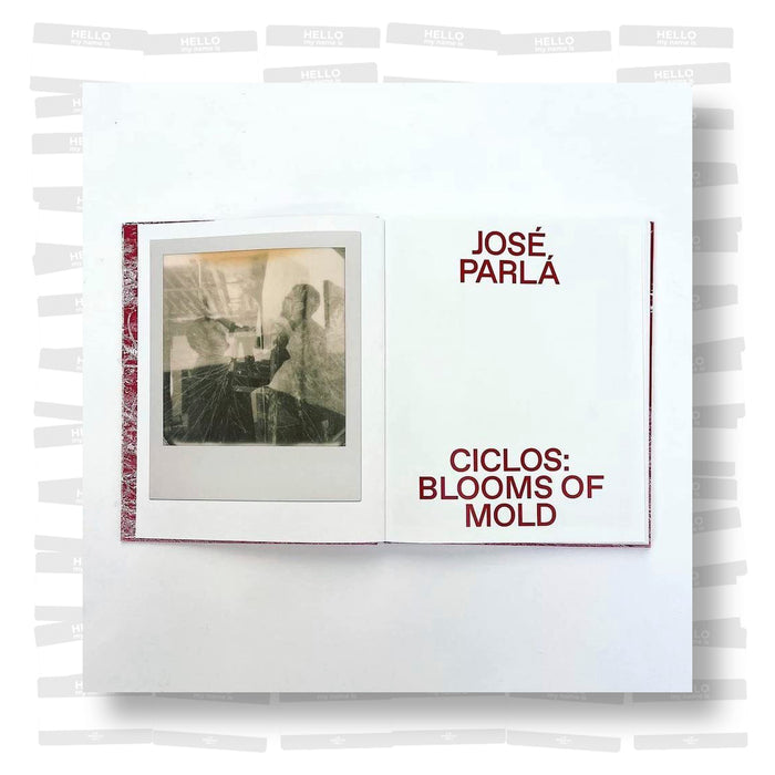 José Parlá - Ciclos: Blooms of Mold