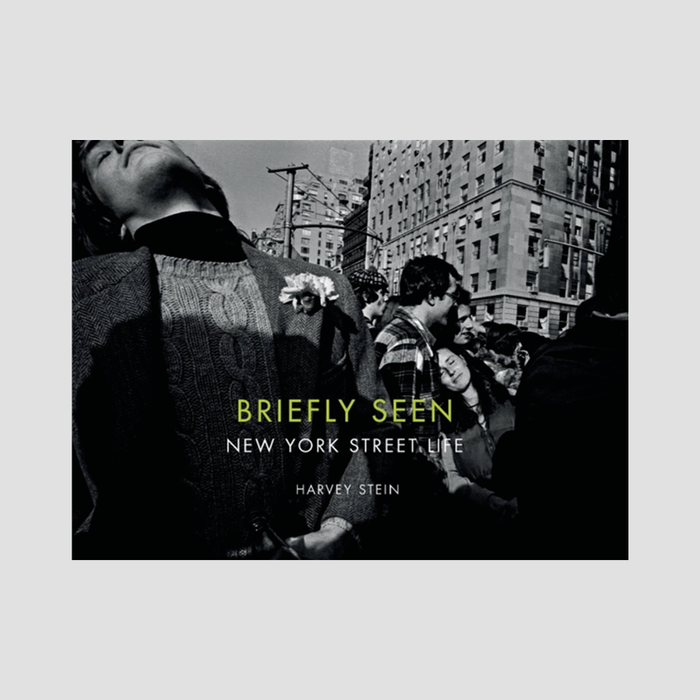 Harvey Stein - Briefly Seen: New York Street Life